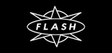 Logo Flash