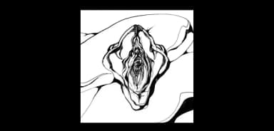 Logo Mamba Negra